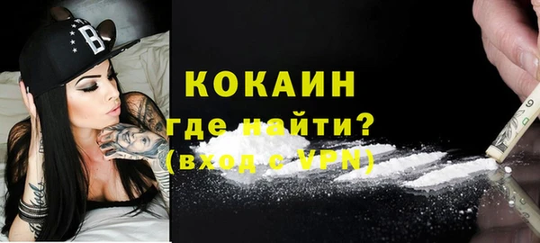 индика Краснослободск
