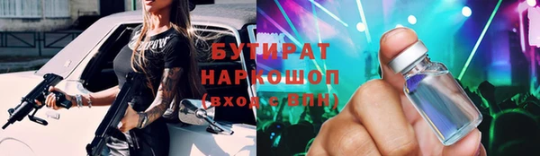 индика Краснослободск