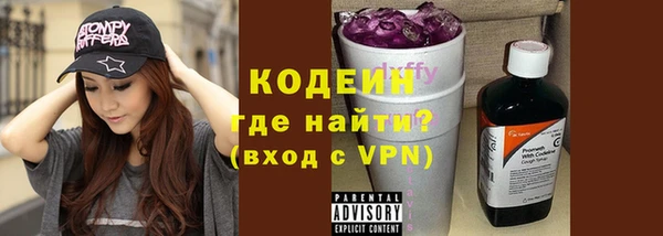 индика Краснослободск