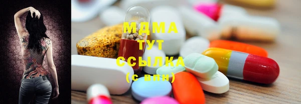 индика Краснослободск