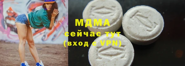 индика Краснослободск