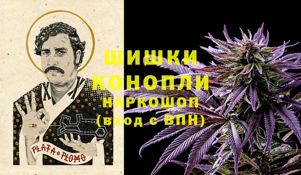 индика Краснослободск