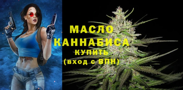 индика Краснослободск