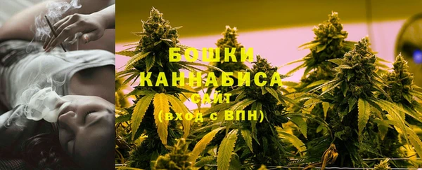 индика Краснослободск