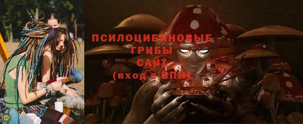индика Краснослободск
