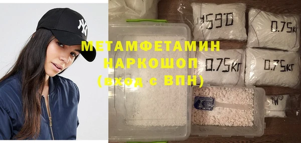 индика Краснослободск