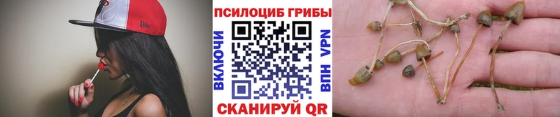 Псилоцибиновые грибы мухоморы  хочу   Старый Крым 